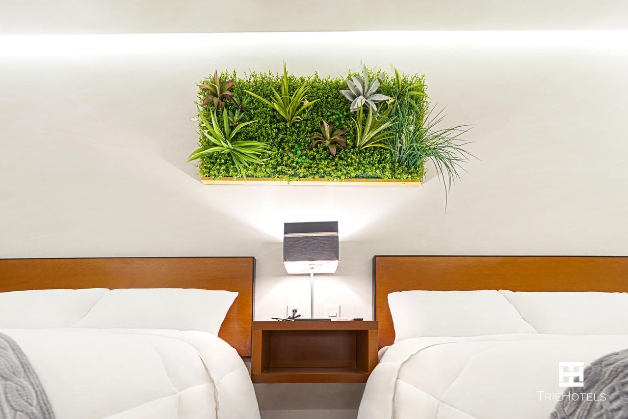 Hotel Urban 101 Chetumal Buitenkant foto