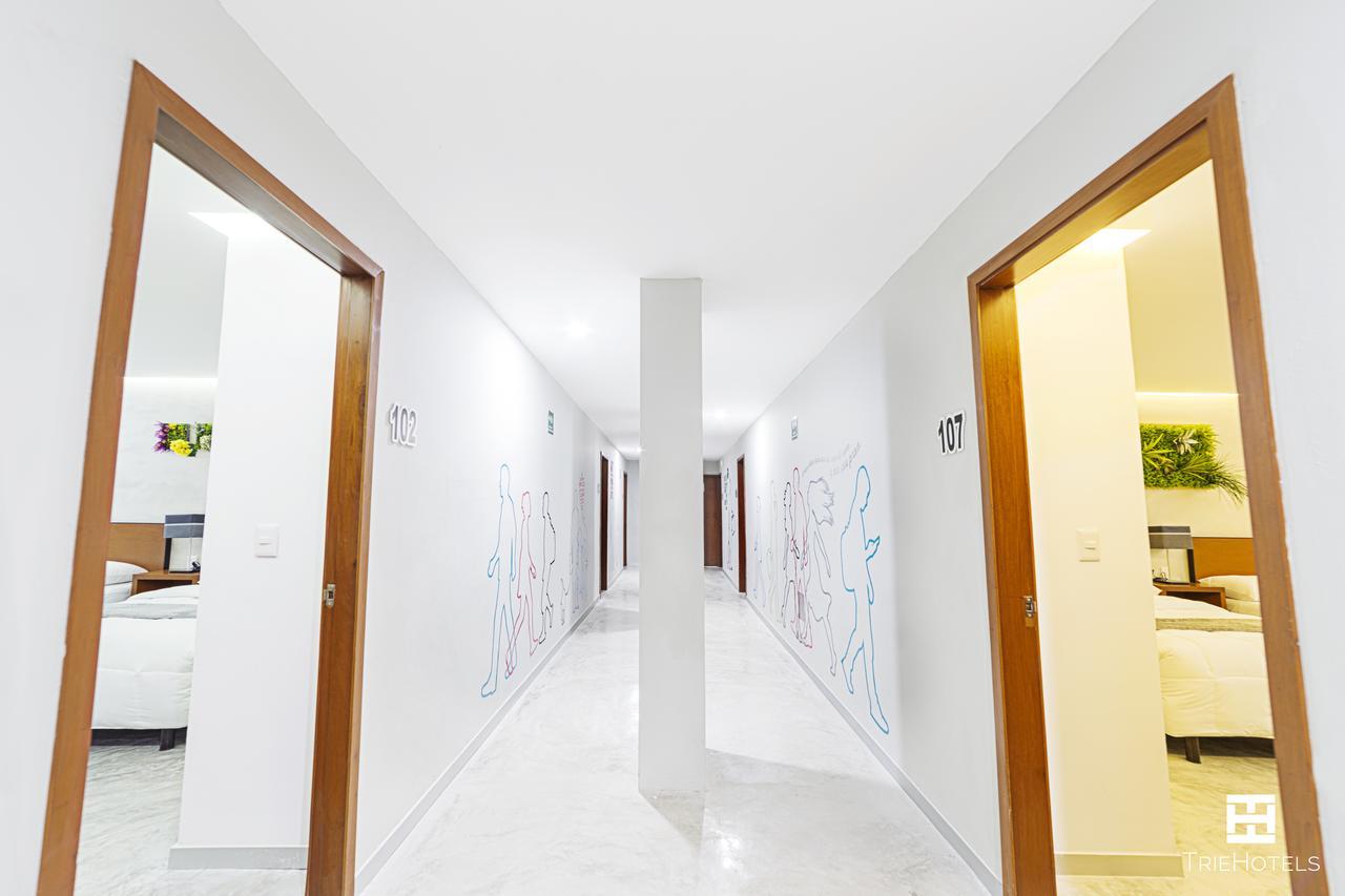 Hotel Urban 101 Chetumal Buitenkant foto